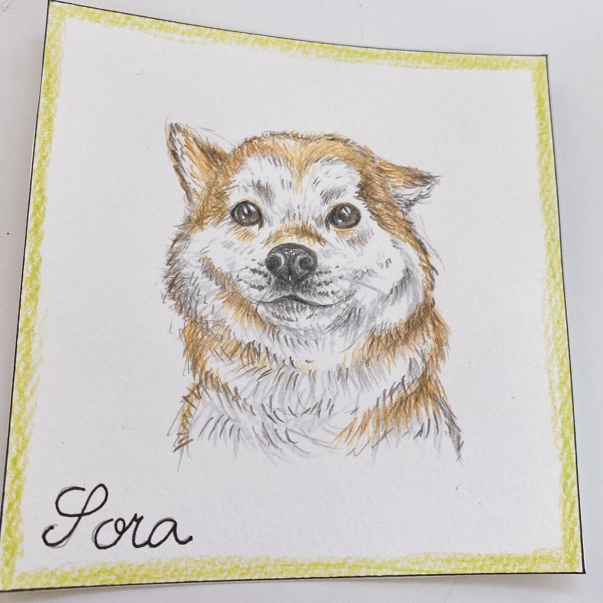 色鉛筆でペットの似顔絵を描きます フワッとしたタッチのペットの似顔絵をお求めの方へ イメージ5