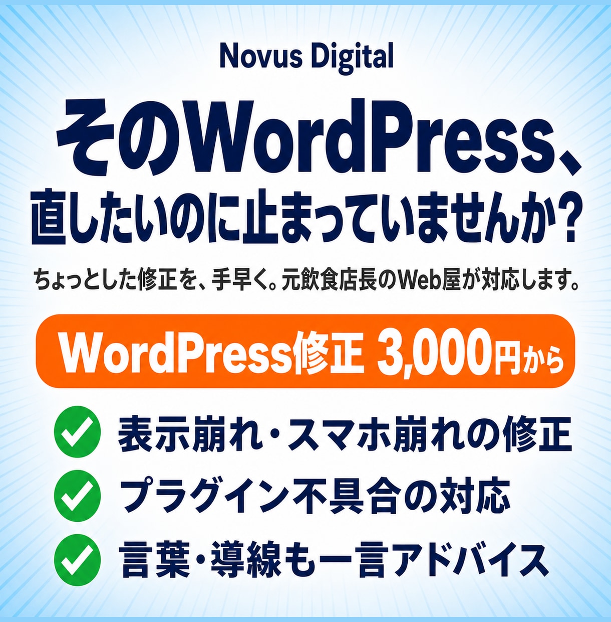 WordPress修正・カスタマイズ対応します 「ここだけ直したい」を丁寧・スピーディに対応します イメージ1
