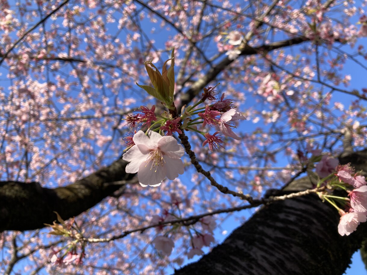 お話お聞きします 小さなことでも大丈夫、私に話してスッキリしちゃいましょう！ イメージ3