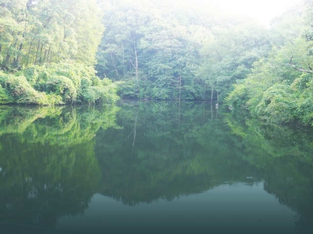 精霊浄化の調律術｜魂に絡む古き感情をほどきます 精霊たちが無意識のしがらみを癒し、新たな流れを招きます イメージ9