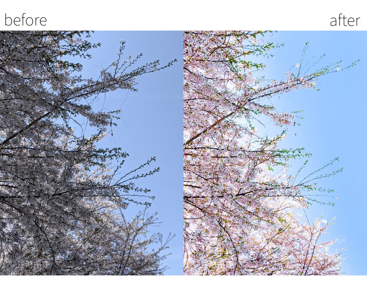 1枚250円~！画像加工・編集承ります ECサイトの商品画像など作成お手伝いします 早期納品も応相談 イメージ9