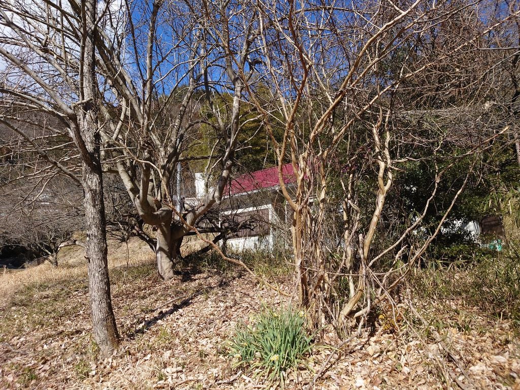 不動産の賃貸・購入相談、運営相談お受けします 収益不動産、居住用不動産に強みを持っています！ イメージ2