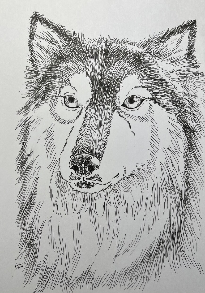 モノクロペンで描く、犬専門の似顔絵描きます 大切なご家族をペン画で一枚一枚、心を込めて手描きします。 イメージ5
