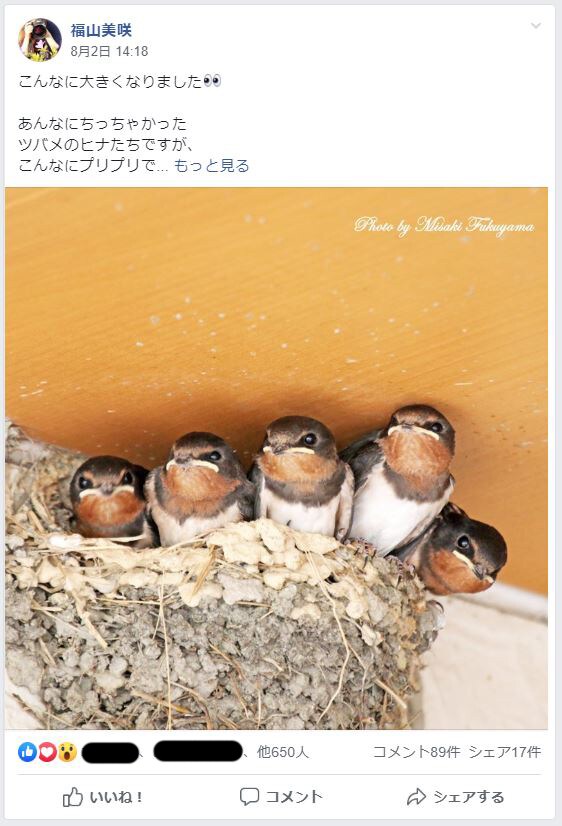 人気インスタグラマーが愛されるSNS活用術教えます Facebookで人との繋がりを大切にしたいあなたへ♡ イメージ6