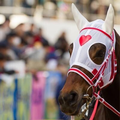 3頭◎○▲ｼﾝﾌﾟﾙ競馬予想！理由しっかり書きます 購入金額が少ない方向けです。それでも穴のロマンを感じたい方 イメージ4