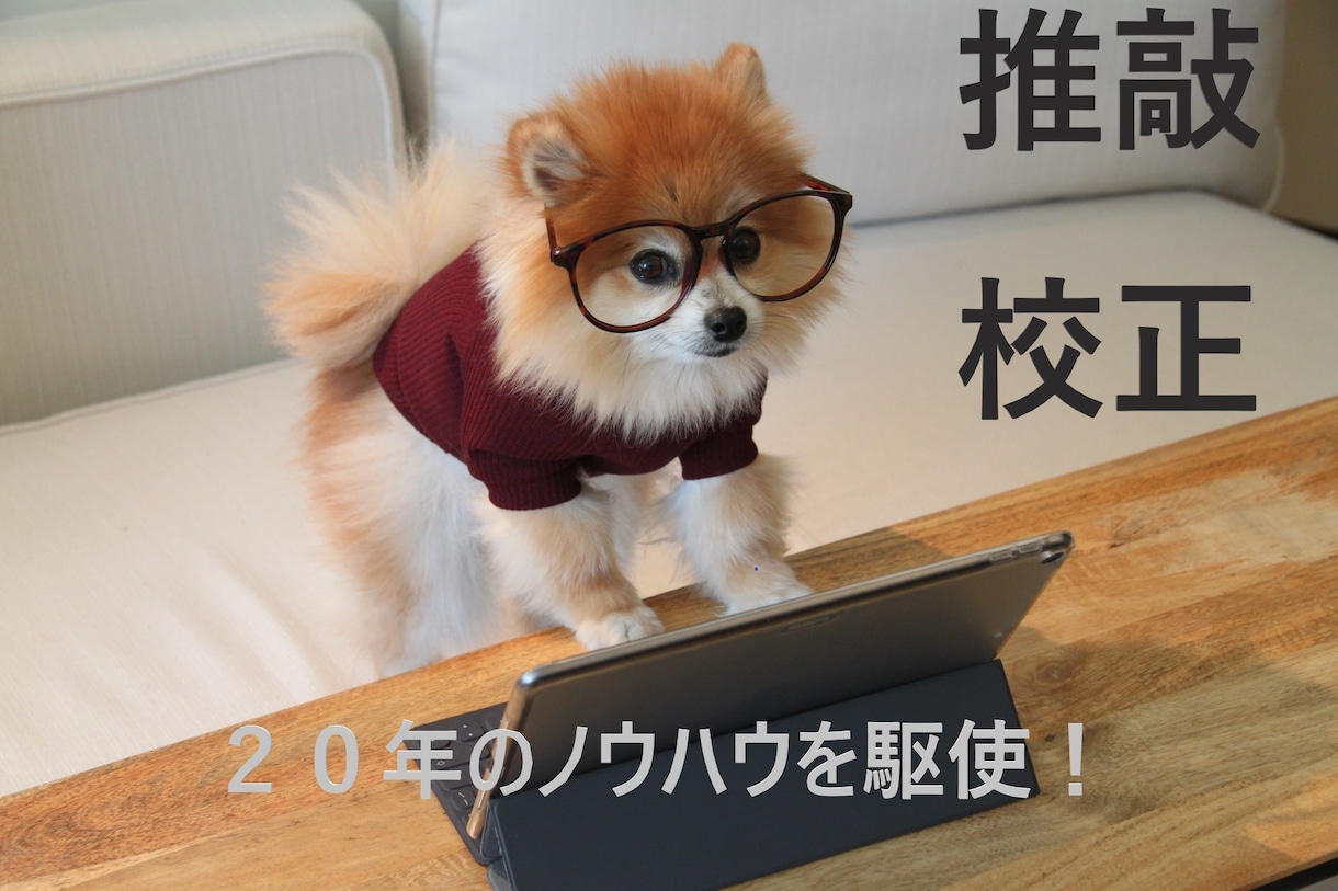 あなたの文章を心を込めて推敲します 否定ナシ！あくまで「提案」のやさしいアドバイス イメージ1