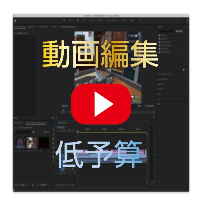 低予算クォリティ重視で動画編集します デザイン会社勤務がプレミアプロで納品！即日納品も可！ イメージ1
