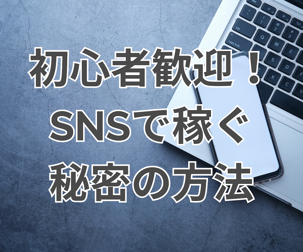 SNS活用で収入アップを目指す戦略法教えます フォロワーUP＆収益化を目指せる/0から始めるSNS活用副業 イメージ1