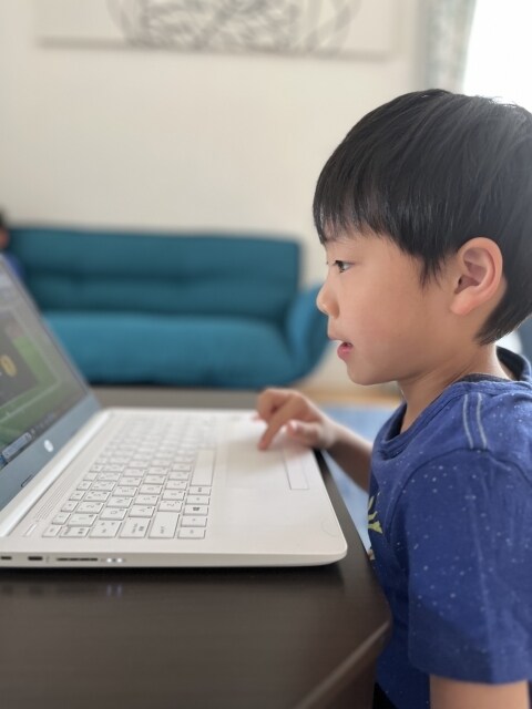 小学生　オンライン国語教師をします 【小学生　「考える力」を育むオンライン家庭教師】 イメージ1