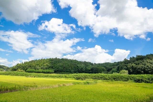 毒親を持つあなたのお悩み・苦しみお聴きします 不安、怒り、寂しさなど全部話してスッキリしてください。 イメージ8