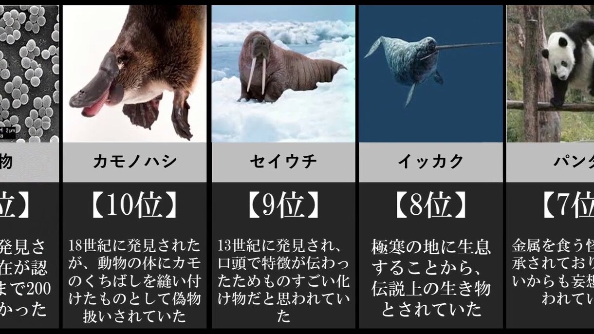 YouTube ランキング(比較)系動画制作します 現在人気のランキング系動画1本1000円で制作致します。 イメージ1
