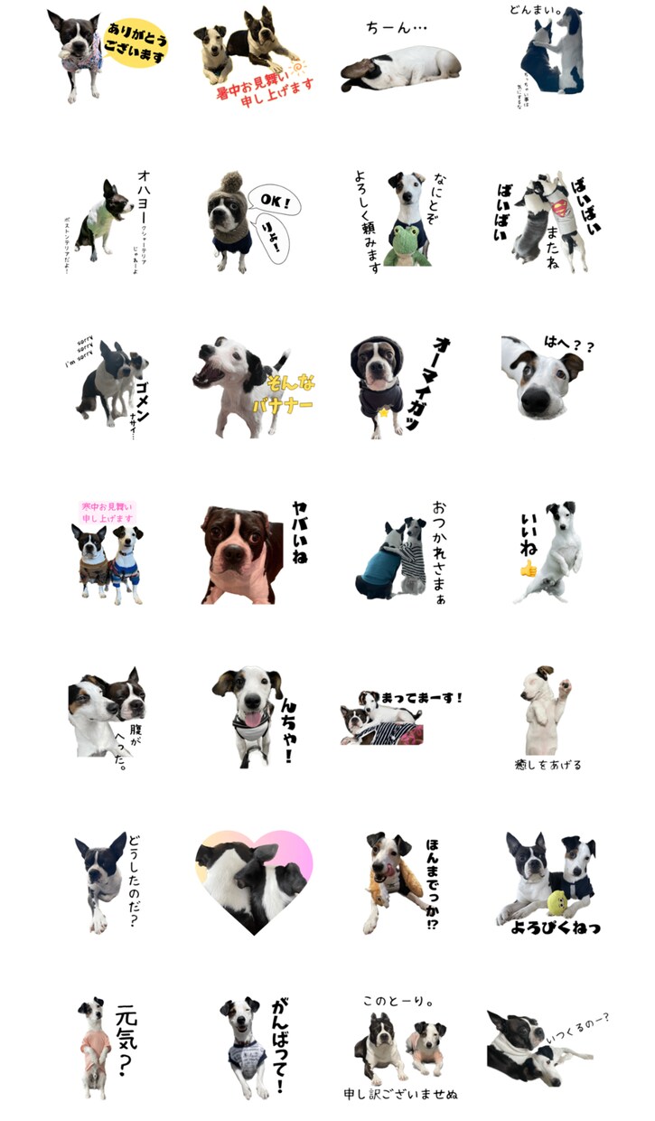 24個まで同料金⭐︎うちの子スタンプお作りします 《うちの子》ペットなどのスタンプを写真送るだけで作れます♡ イメージ2