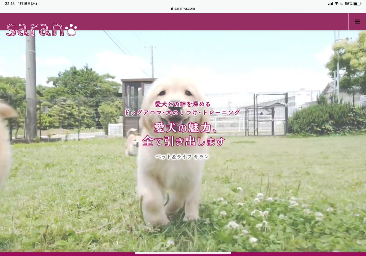 愛犬の選び方をワンポイントアドバイスします 初めて犬を飼う方のために公認訓練士がお答えします！ イメージ1