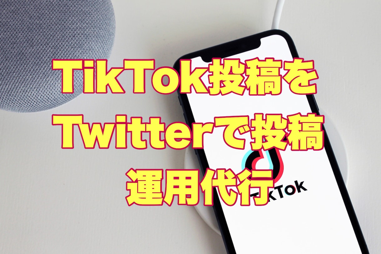 各種SNS投稿を⇨Twitterで運用代行します Instagram TikTok⇨Twitter運用拡散付き イメージ2