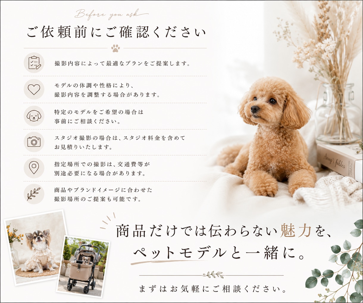 ペット用品の魅力が伝わる動画を撮影します 使用シーンやブランドイメージを映像で表現 イメージ10