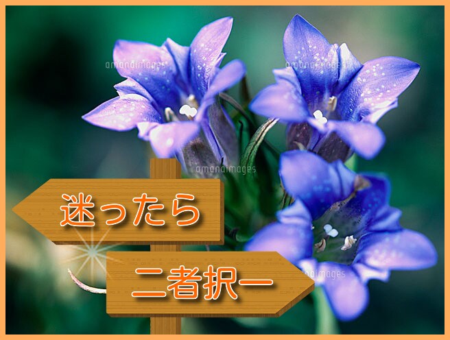 YES/NOや二者択一であなたのお悩み占います 運命の選択！？お悩みにどう進むべきか選択のお手伝いします♪ イメージ1