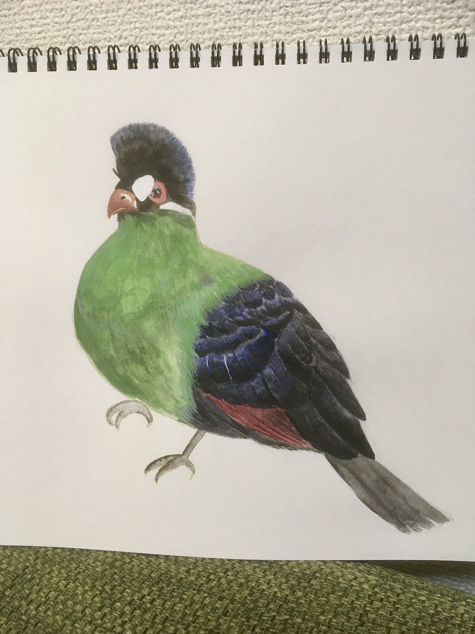 手書きイラスト承ります 動物・植物など、まずはなんでもご相談どうぞ。着彩は水彩です。 イメージ5