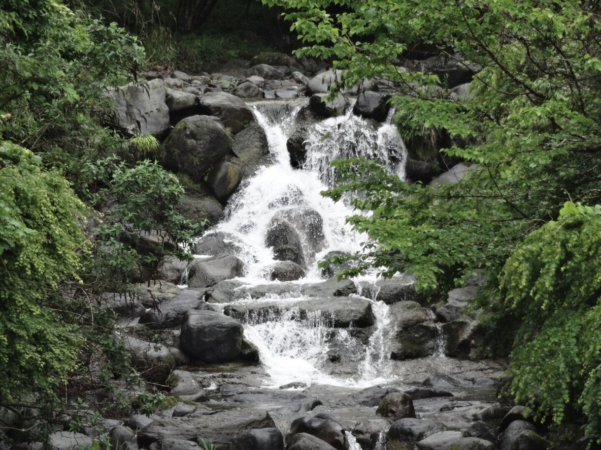 必要な素材写真を提供します ブログに使う写真等を提供し続けます。 イメージ9