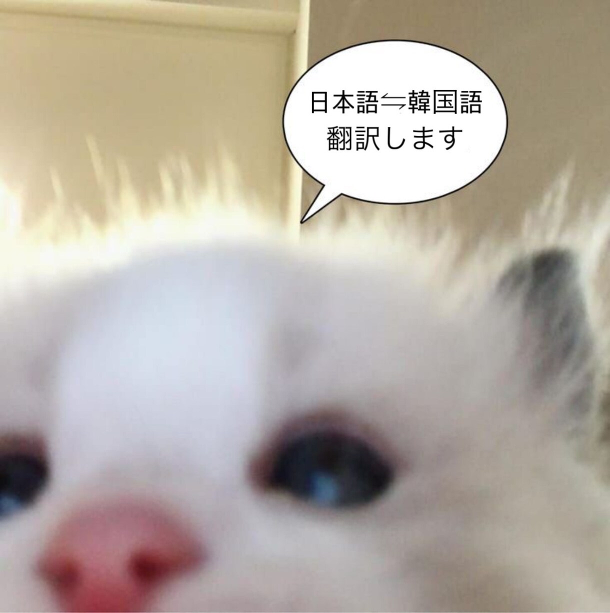 日⇋韓 翻訳します 日⇋韓 現地の若者言葉にも対応して翻訳します イメージ1