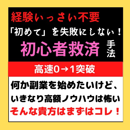 激安価格で初心者救済ノウハウ暴露します 「初めての副業」を失敗にさせない！一人で稼げる喜び提供します イメージ1