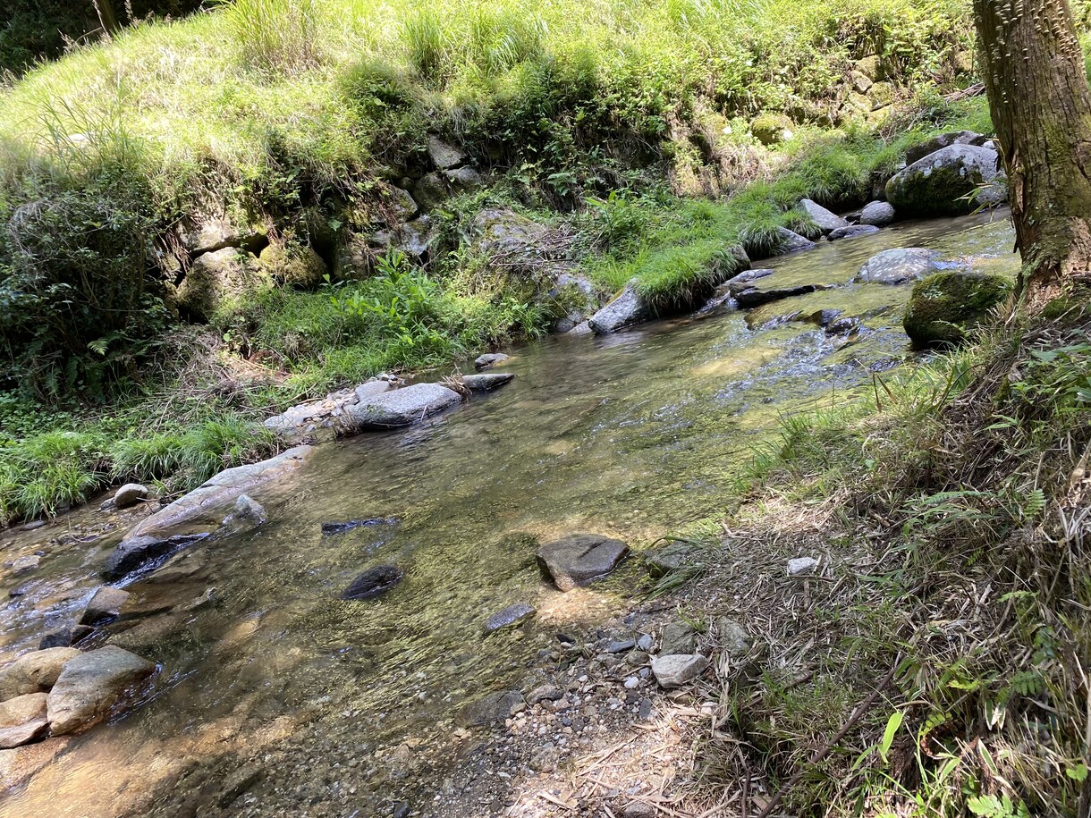 男性必見！恋愛相談乗ります 女性の気持ち代弁します！！男女脳に違いがあって当たり前！！ イメージ2