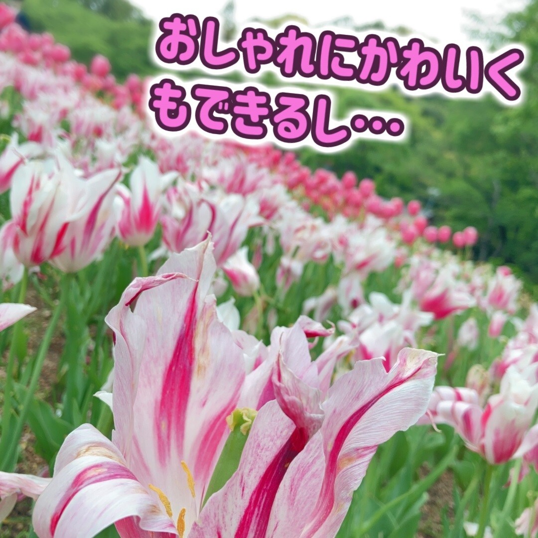 おまかせOK！Youtube等の動画編集します Vlogや日常系、商品紹介、語り系などの編集が得意です！ イメージ3