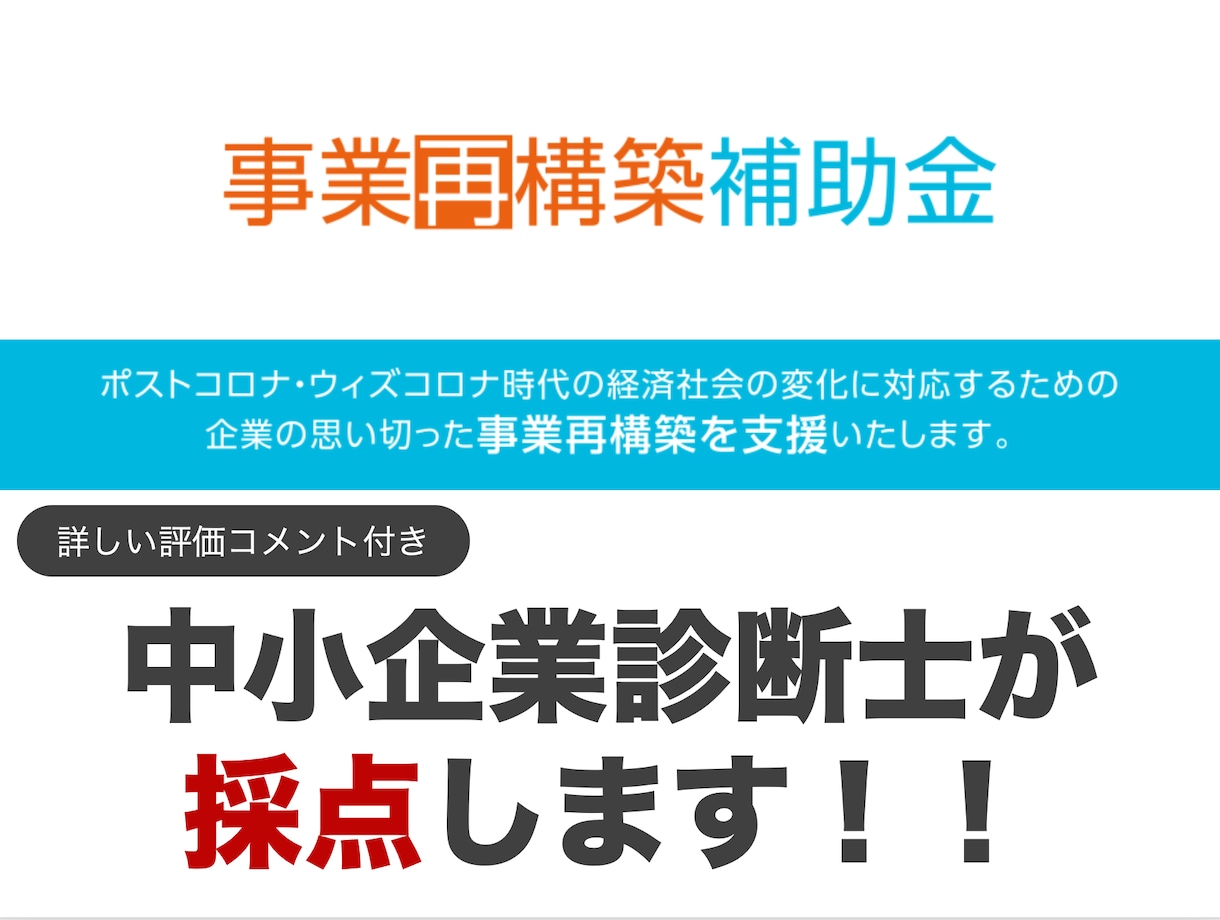 事業再構築補助金の事業計画書を採点します 現役・中小企業診断士が詳しいコメント付きで審査項目をチェック イメージ1