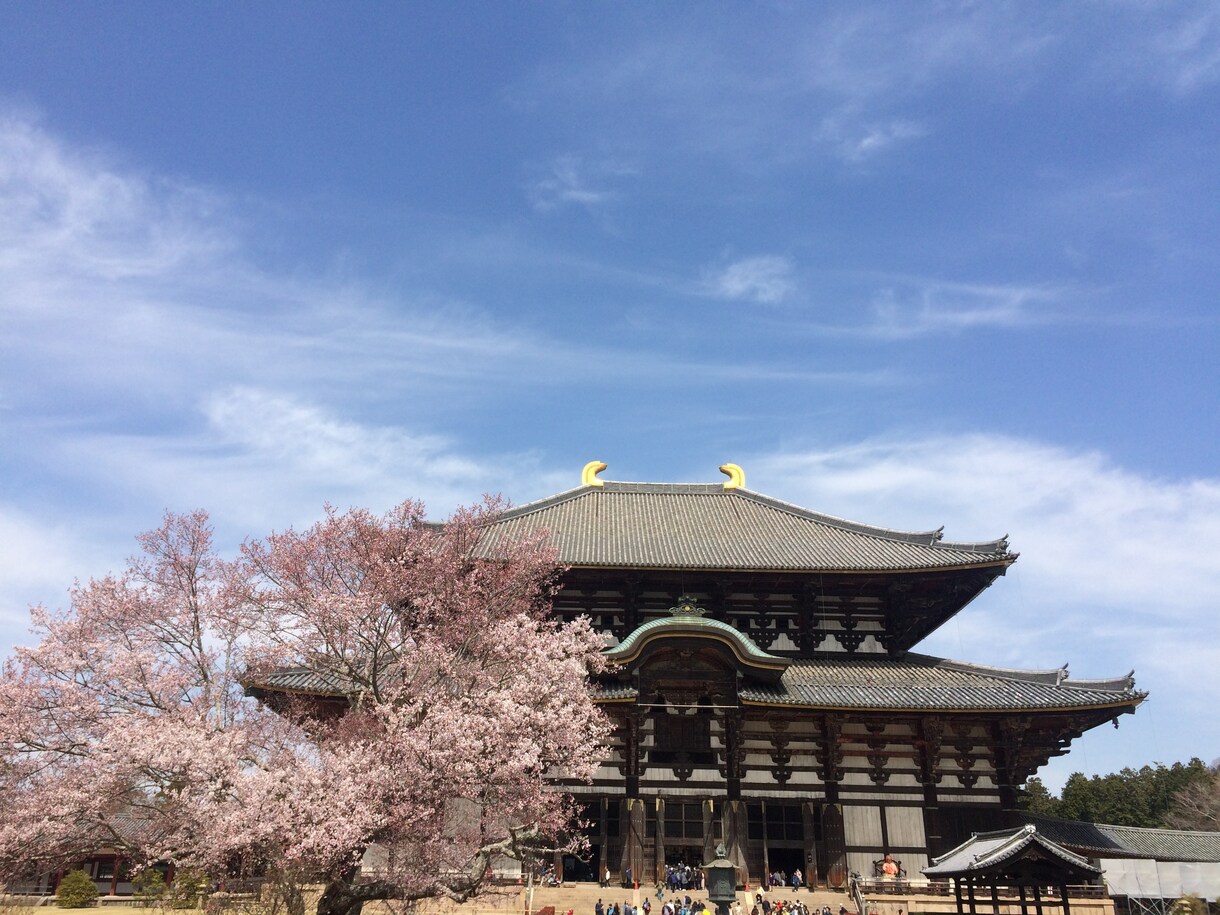 ５泊６日広島、京都、奈良、姫路城の旅程シェアします 〜５つの世界遺産とアベノハルカスを満喫できました〜 イメージ1