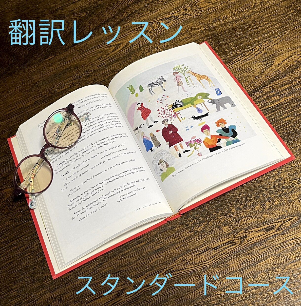翻訳のレッスンを行います 翻訳のプロがあなたを翻訳の世界に誘います イメージ1