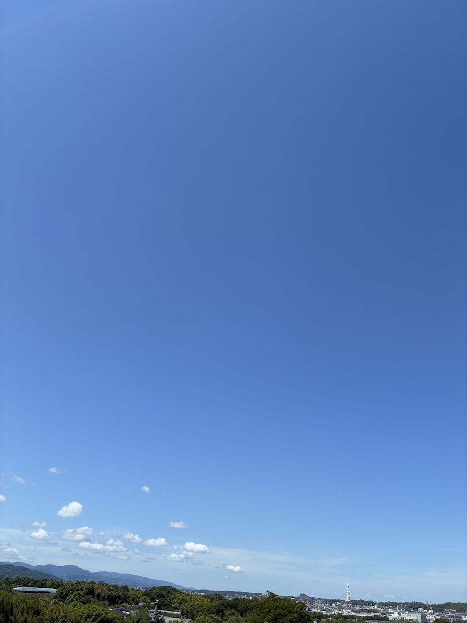 あなたの本当の望みを一緒に探します 自分では気づかないあなた自身のこと、お話してみませんか❓ イメージ1