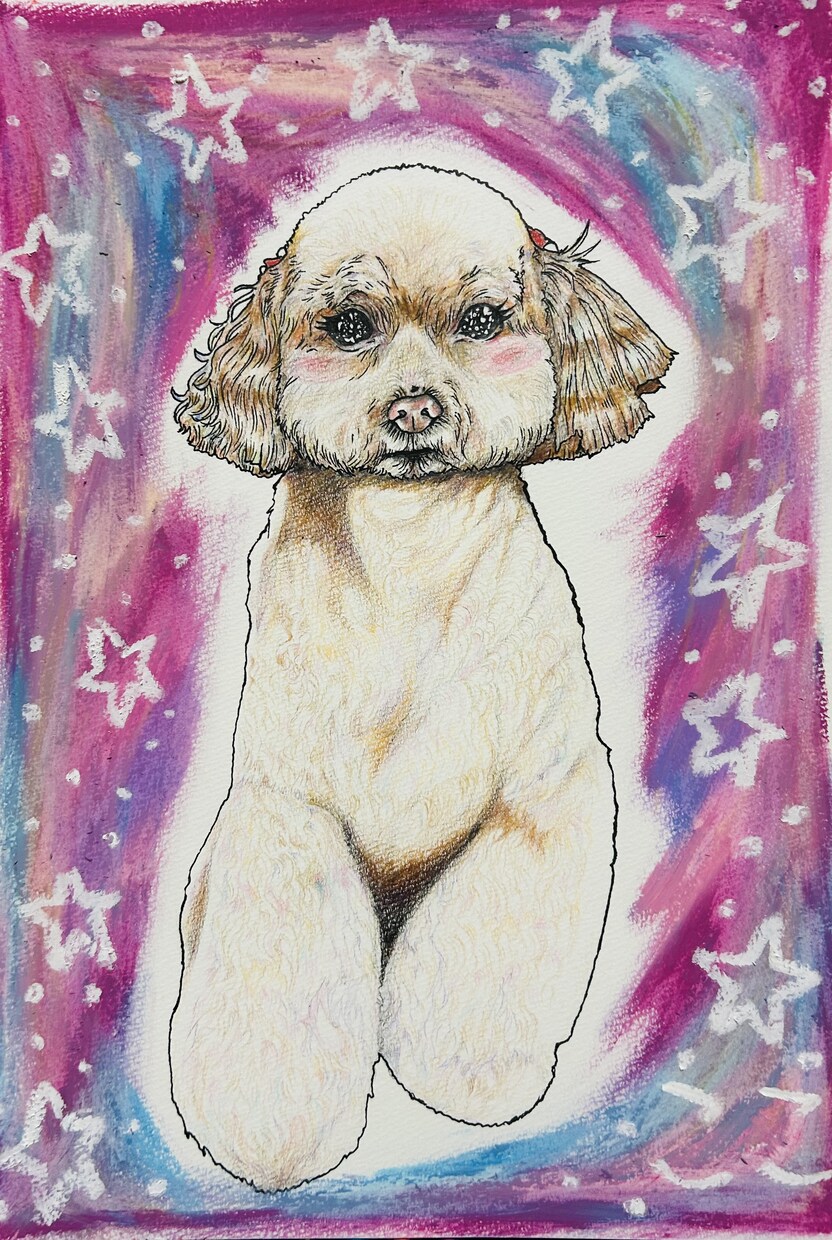 似顔絵やデジタル作品を描いてます 精神障害がある右脳絵師psyvava イメージ6