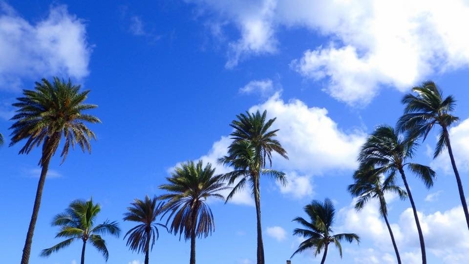ハワイ(オアフ島) 観光&現地ツアーご提案します ハワイ旅行プラン&現地ツアーに悩んでいる方へ イメージ2