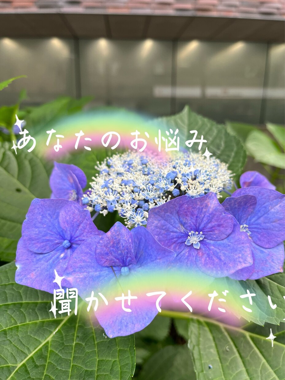 トークルームで30分〜話し相手になります 誰かと繋がってたいあなた。トークルームでお話ししませんか？ イメージ3