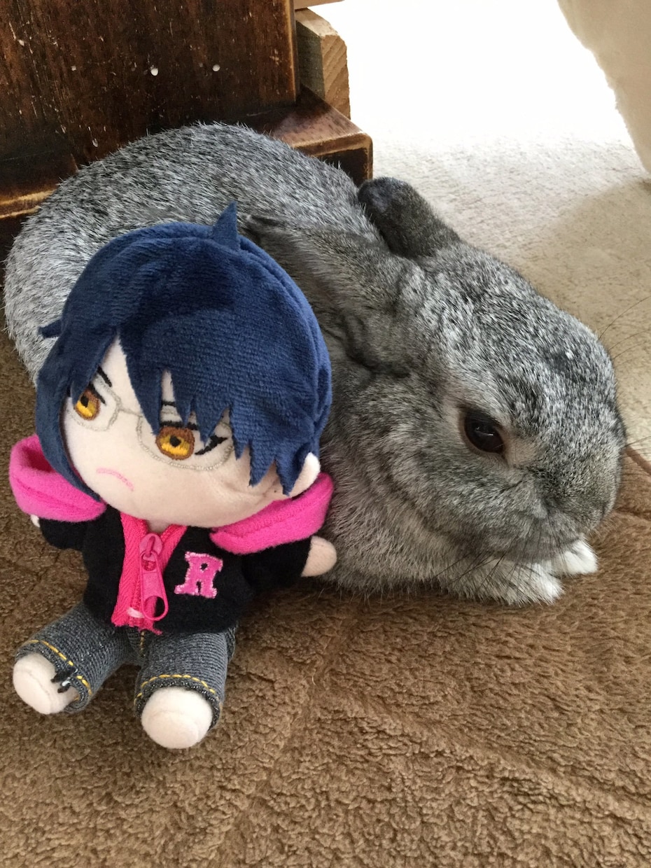 オリジナルキャラクターぬい製作します あなただけのオリジナルキャラクターをぬいちゃんにしませんか？ イメージ3