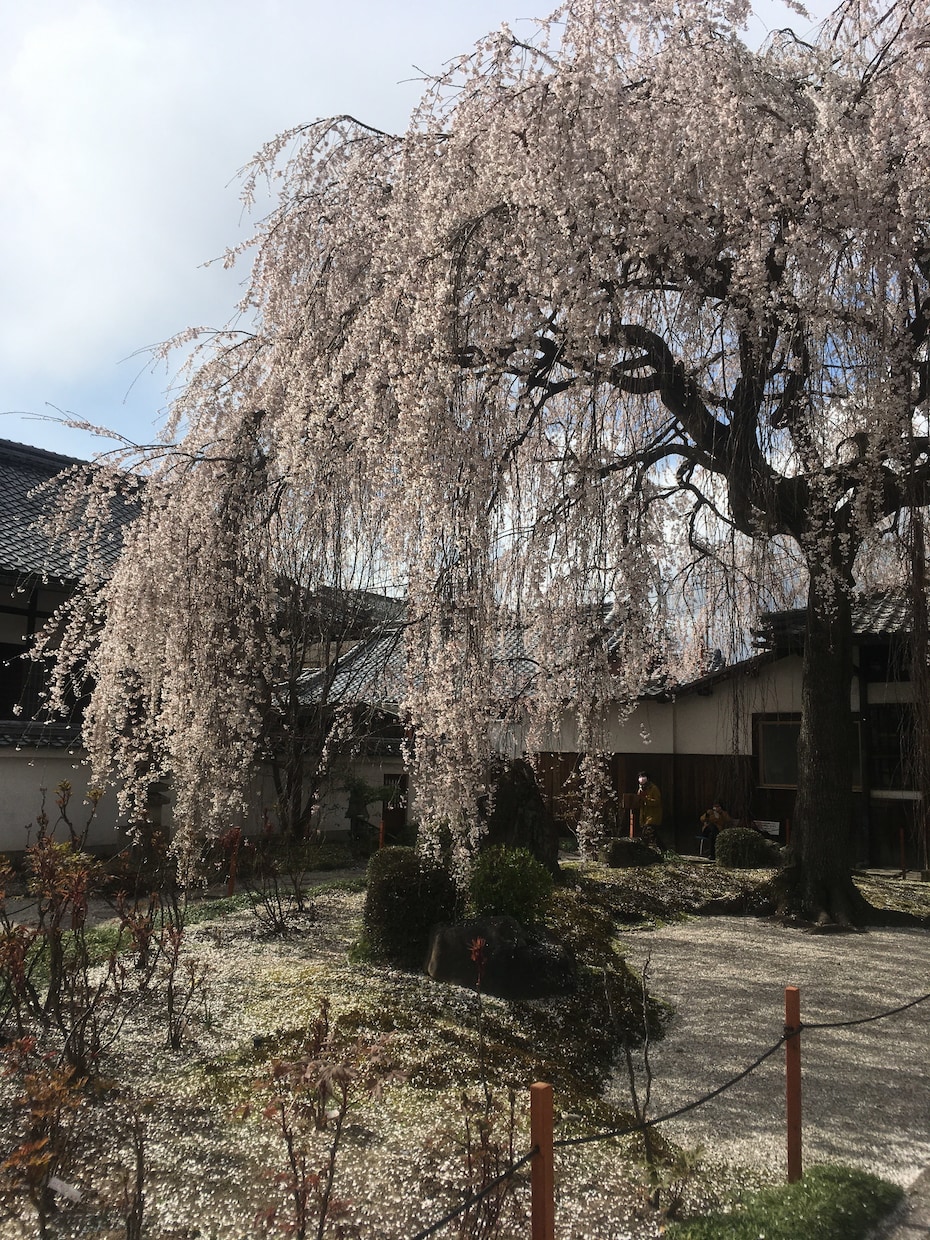 京都移住・相談・お手伝いします 移住の計画段階～移住スタート・慣れるまでフォロー イメージ1