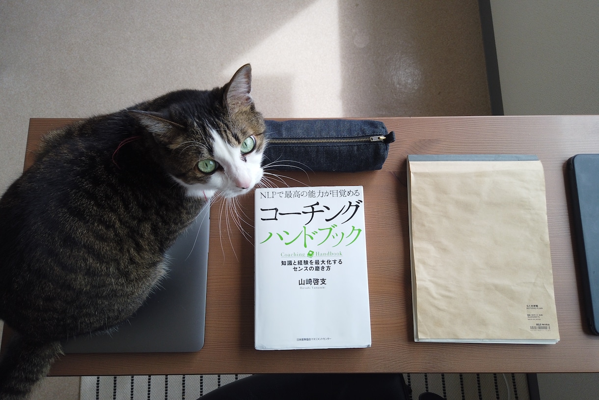 やりたいけどできないをプロコーチがサポートします グルグルして判断ができない。が解放されて前向きに進めます。 イメージ2