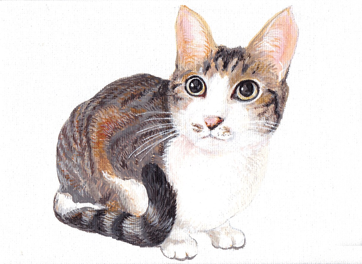 家族であるペットの一瞬の可愛さを似顔絵に描いてます アクリル絵の具でキャンバスボードにリアルに温かく描いてます イメージ7