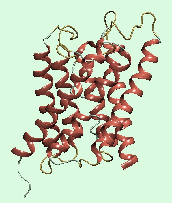 分子シミュレーション代行いたします 対応分野：創薬/材料開発/化粧品/水分子/高分子/カーボン等 イメージ2