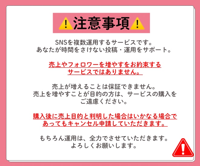 忙しいあなたのSNSを複数丸ごと立ち上げ運用します 始め方がわからなくても大丈夫。0から一緒に立ち上げます。 イメージ6