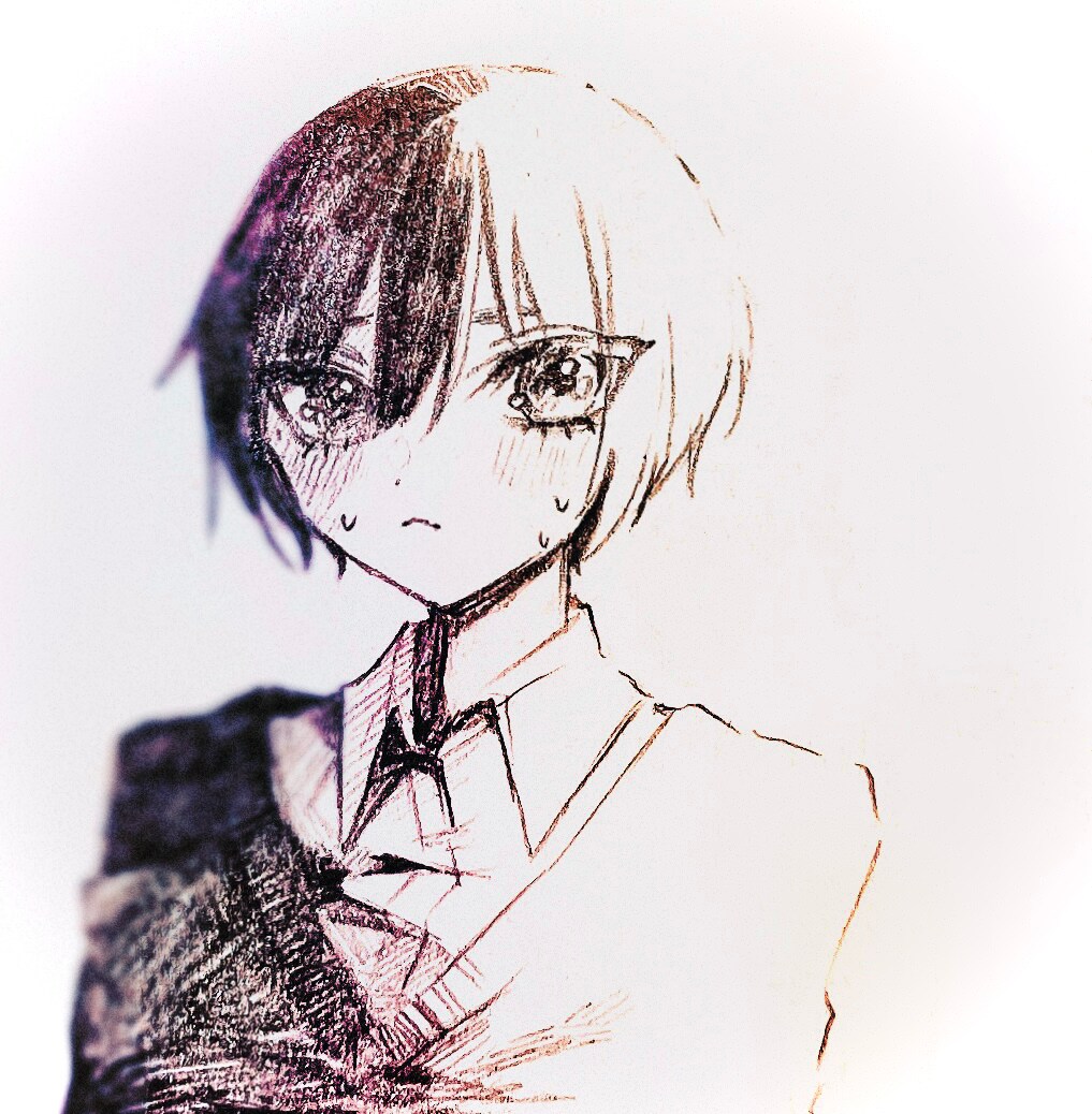 オリジナリティのあるペンイラスト描きます モノクロを基調として雰囲気のあるイラストを制作します✧* イメージ1