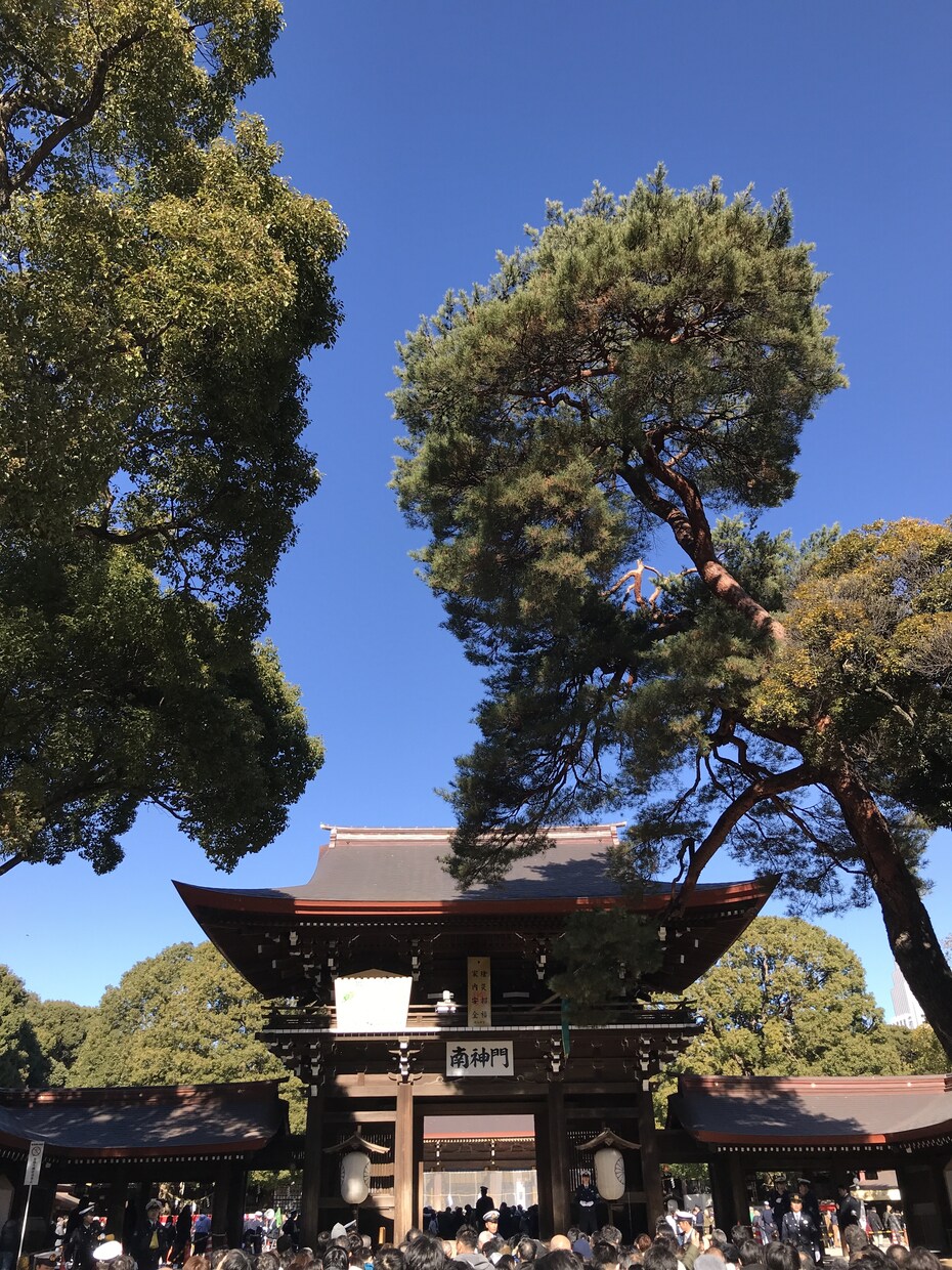あなたの過去・現在・未来を総合的に占います 西洋占星術・四柱推命・数秘術・手相を利用し多方向的に占います イメージ1