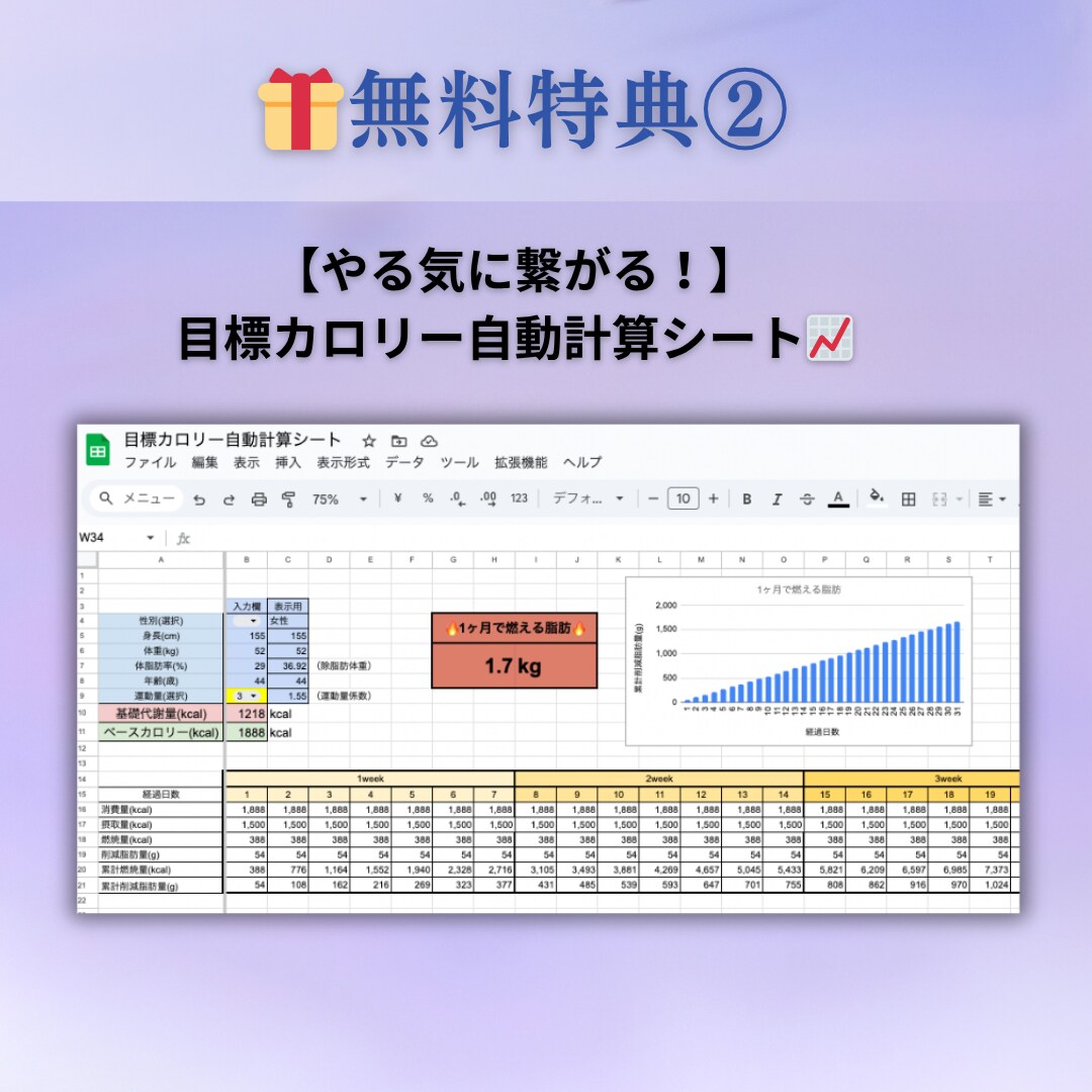 1ヶ月間ダイエットサポートします プロトレーナーがしっかり痩せる方法をお伝えします♪ イメージ4