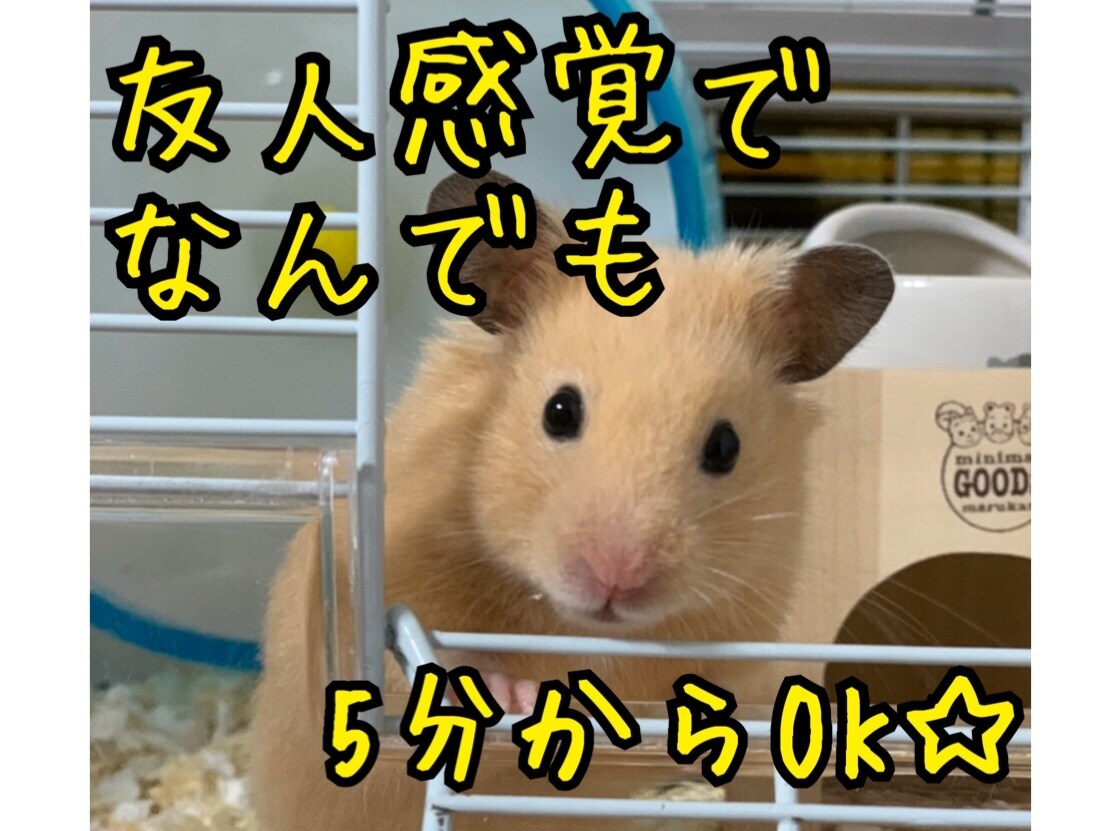 ピアヘルパー資格有。コロナ疲れ、様々なお話聴きます ♪友人感覚で気軽にお話してください(*^▽^*) イメージ1