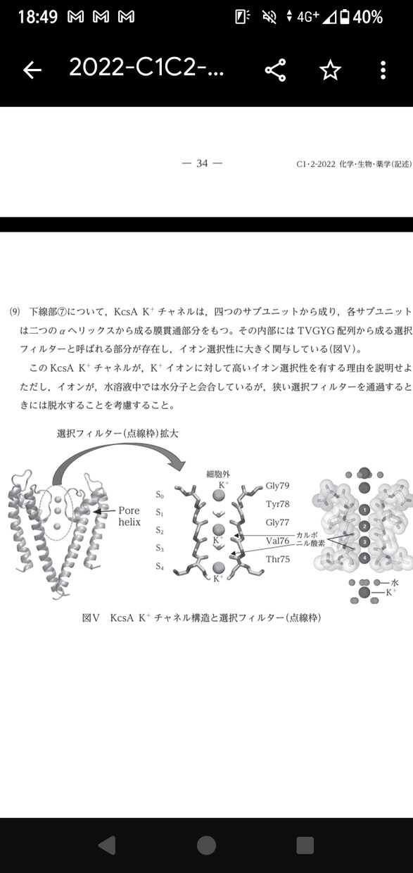 医学部卒が医療系、生物系大学院の試験対策します 医療系学部の基礎医学、定期テスト、大学院、国試対策を致します イメージ5