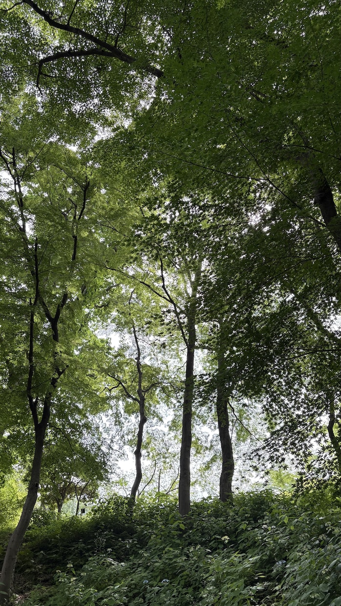 あなたの心が真ん中になれるお手伝いをします 書いて頭の中を整理しませんか？あなたの中の答え、みつかる。 イメージ2