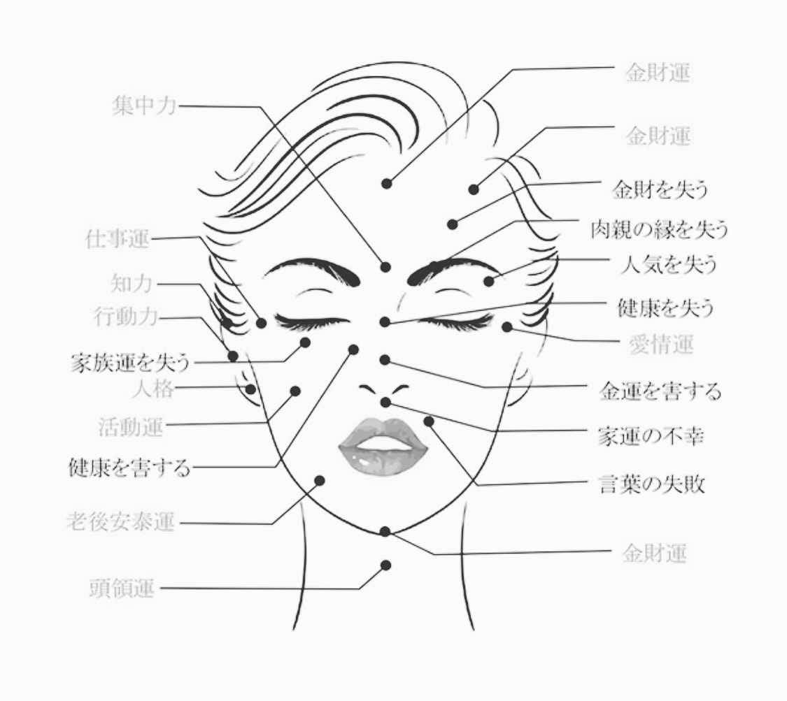 プロの顔相家がお顔の鑑定致します プロの顔相家が、皆様の運を開く開運お顔鑑定をさせて頂きます♪ イメージ1