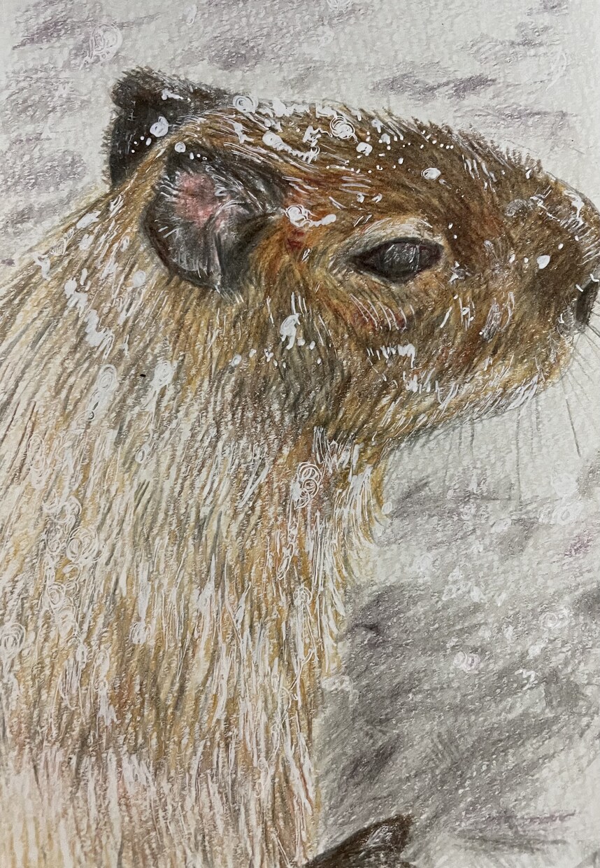 年賀状にも！色鉛筆で動物の絵を描きます 世界でたった一つだけ！動物の可愛い表情を生き生きと描きます イメージ6