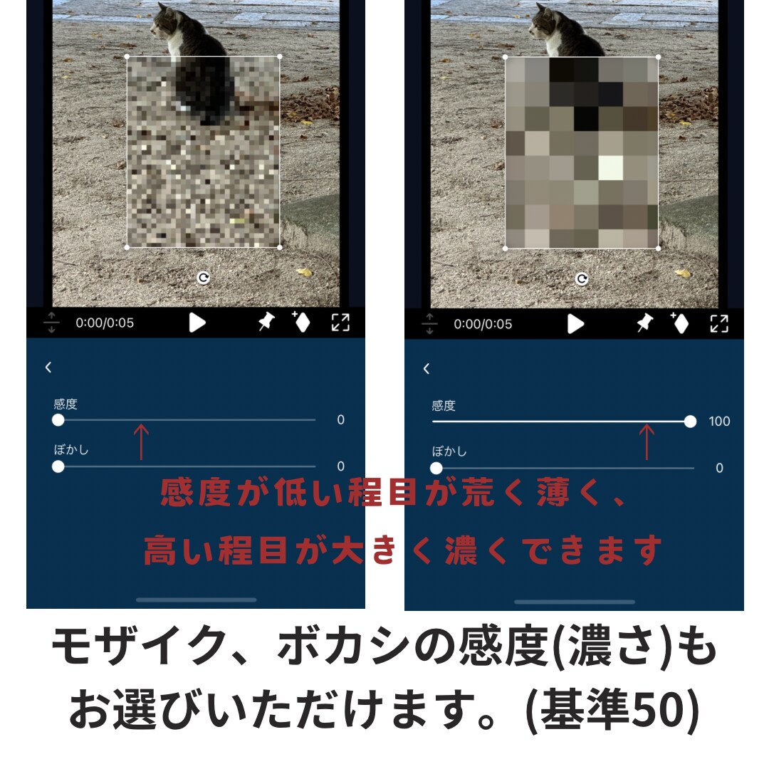 格安で女性にだけ頼みたいモザイクボカシ処理します 大事な部分や知られたくない部分の処理は女性へお願いしたい方 イメージ3