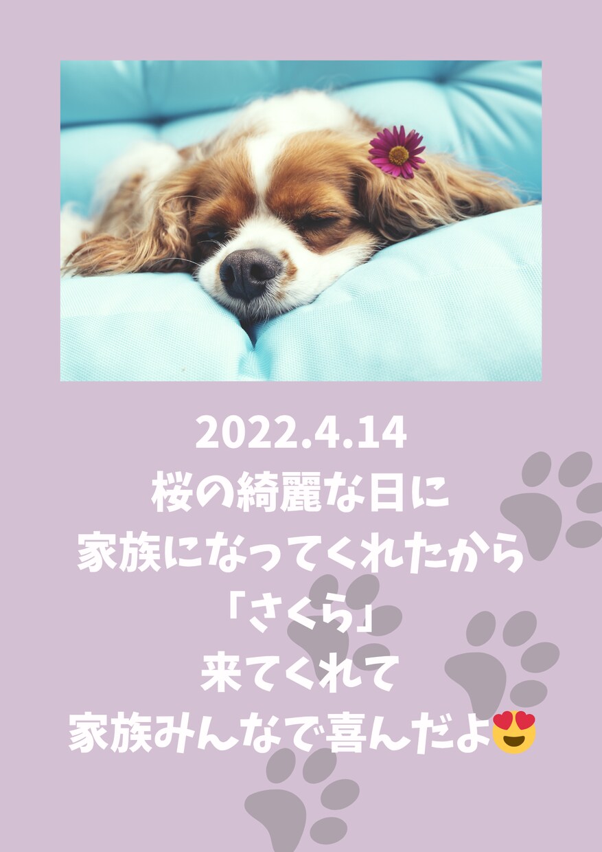 最安値でお受け致します 思い出をアルバムにしませんか。お試し可能です。 イメージ7