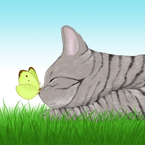 猫ちゃんのイラスト描きます アイコンや待ち受け画面にどうぞ！ イメージ4